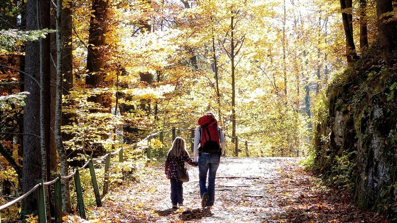 Ausflüge im Herbst - Mit Kind den November erleben
