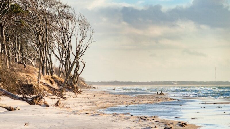 Fischland-Darß-Zingst: Winterwanderung zum Leuchtturm