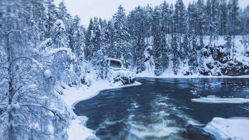 Fünf schöne Nationalparks für Winterbeobachtungen in Europa