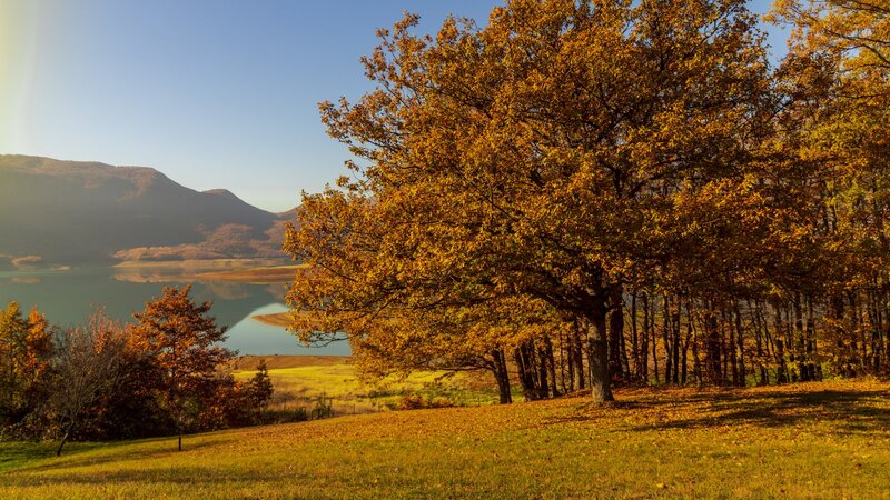 Goldener Herbst in Deutschland: Die 5 schönsten Reiseziele