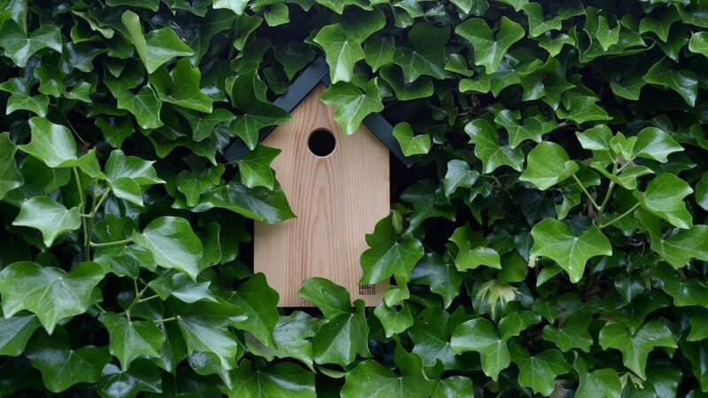 Heimische Vögel im Garten: Nistkasten bauen für Kohlmeisen
