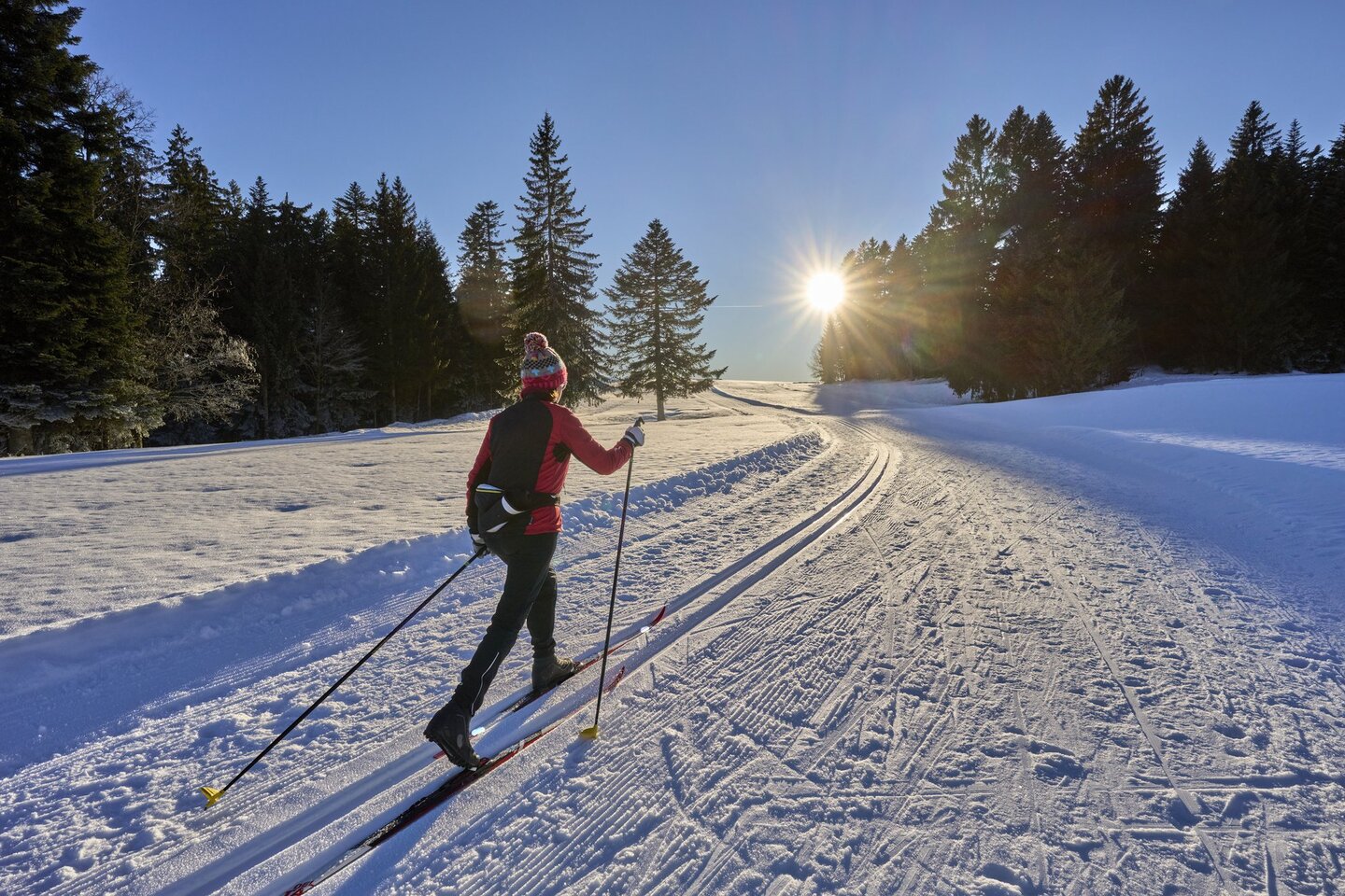 Das Foto zeigt eine Person beim Langlauf im Schnee.