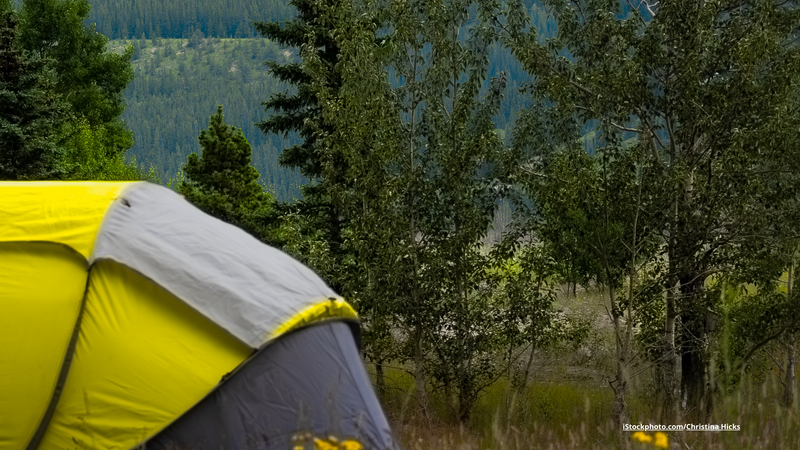 Übernachten in der Natur: Wildcampen in Deutschland und die besten Alternativen