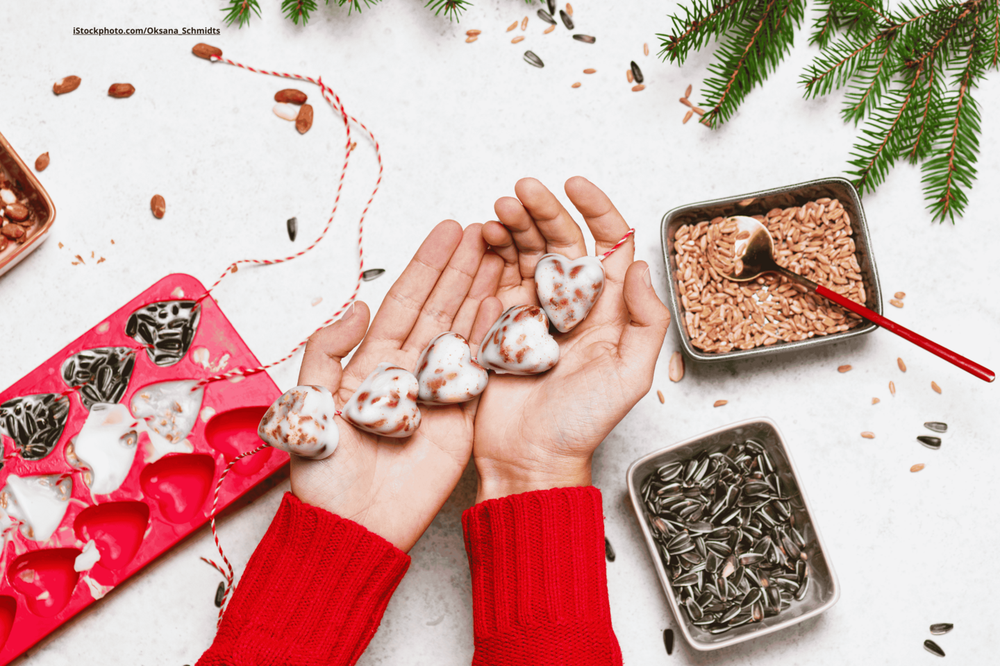 Das Foto zeigt die Hände einer Frau, die Vogelfutter selbst zubereitet.