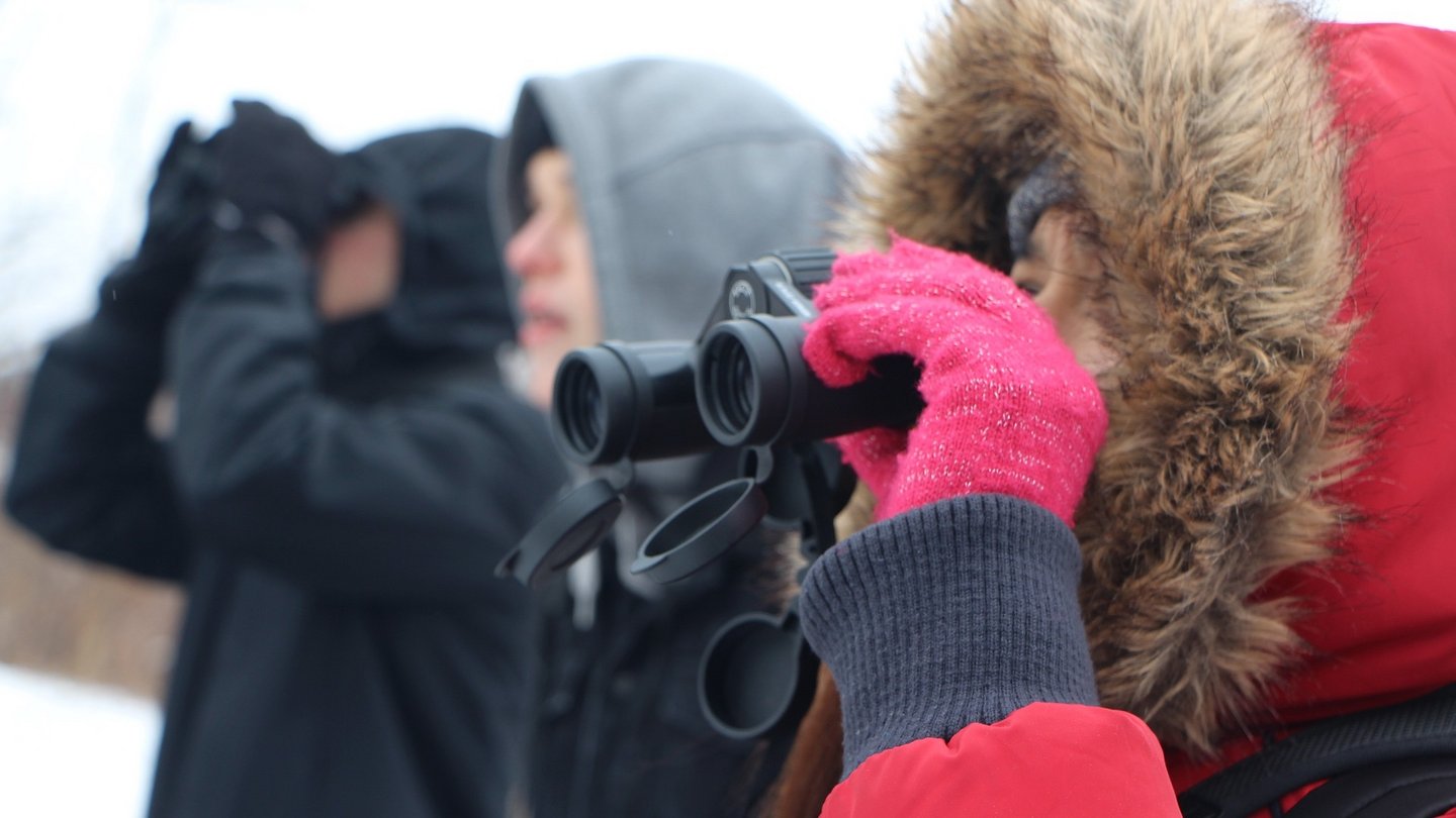 Personen machen Naturbeobachtungen im Winter mit Ferngläsern.