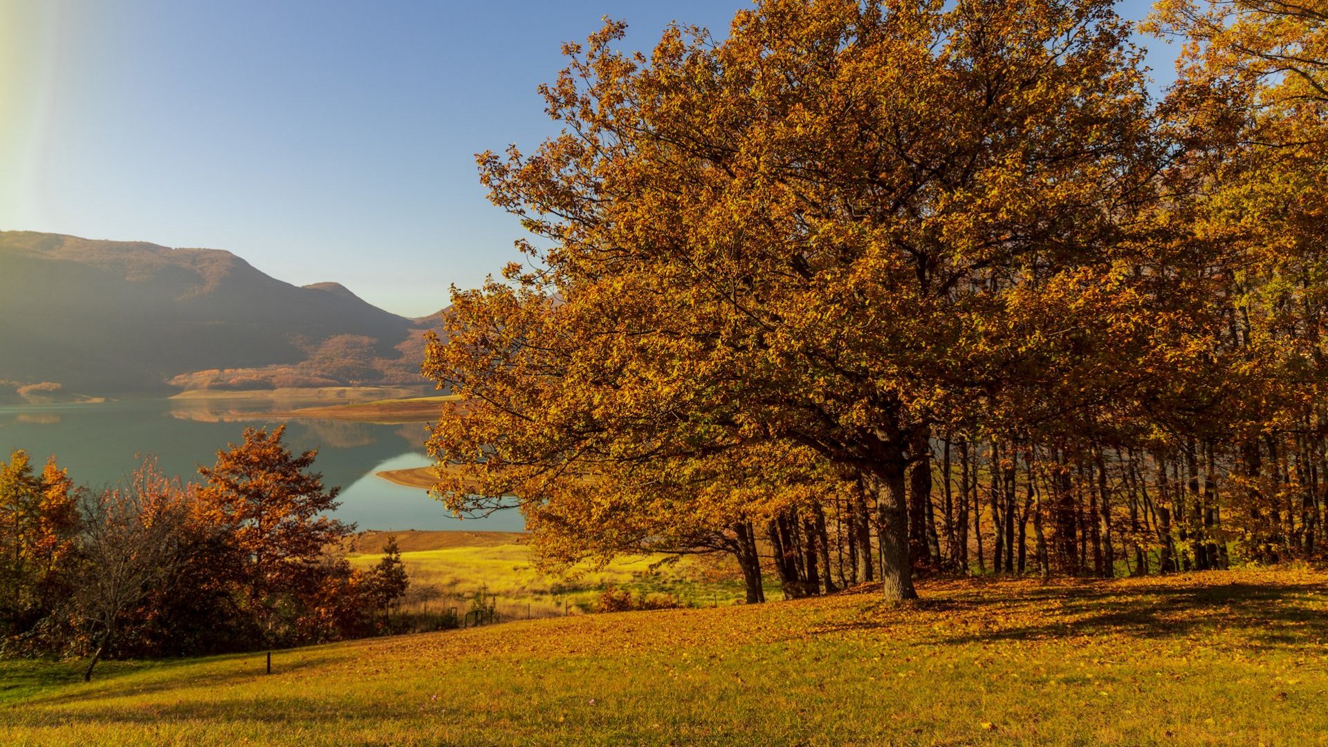 Das Foto zeigt eine Herbstlandschaft mit Bäumen, Se und Bergen. 