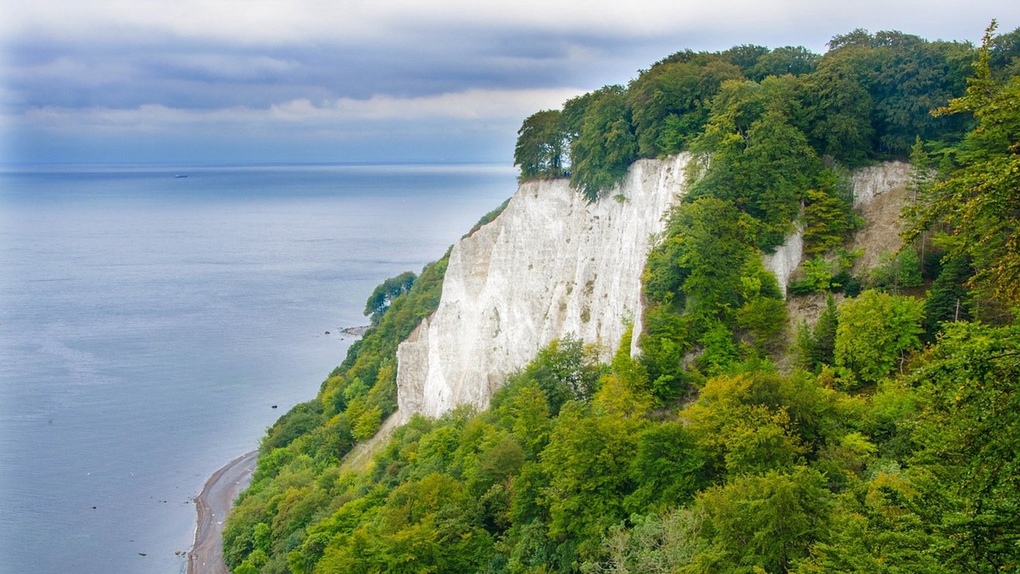 Das Bild zeigt den Kreidefelsen auf Rügen.