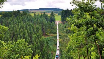 Das Bild zeigt eine Hängeseilbrücke.