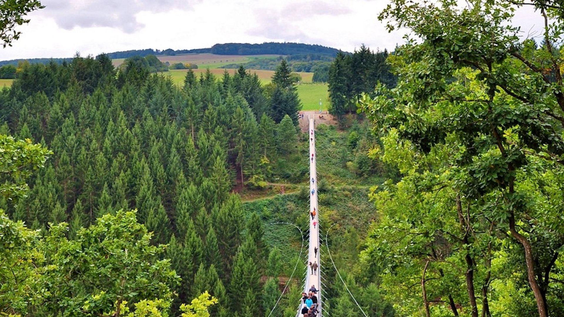 Das Bild zeigt eine Hängeseilbrücke.