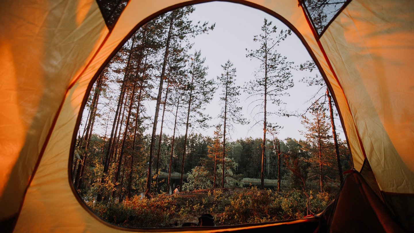 Das Bild zeigt ein Zelt in einem Wald.