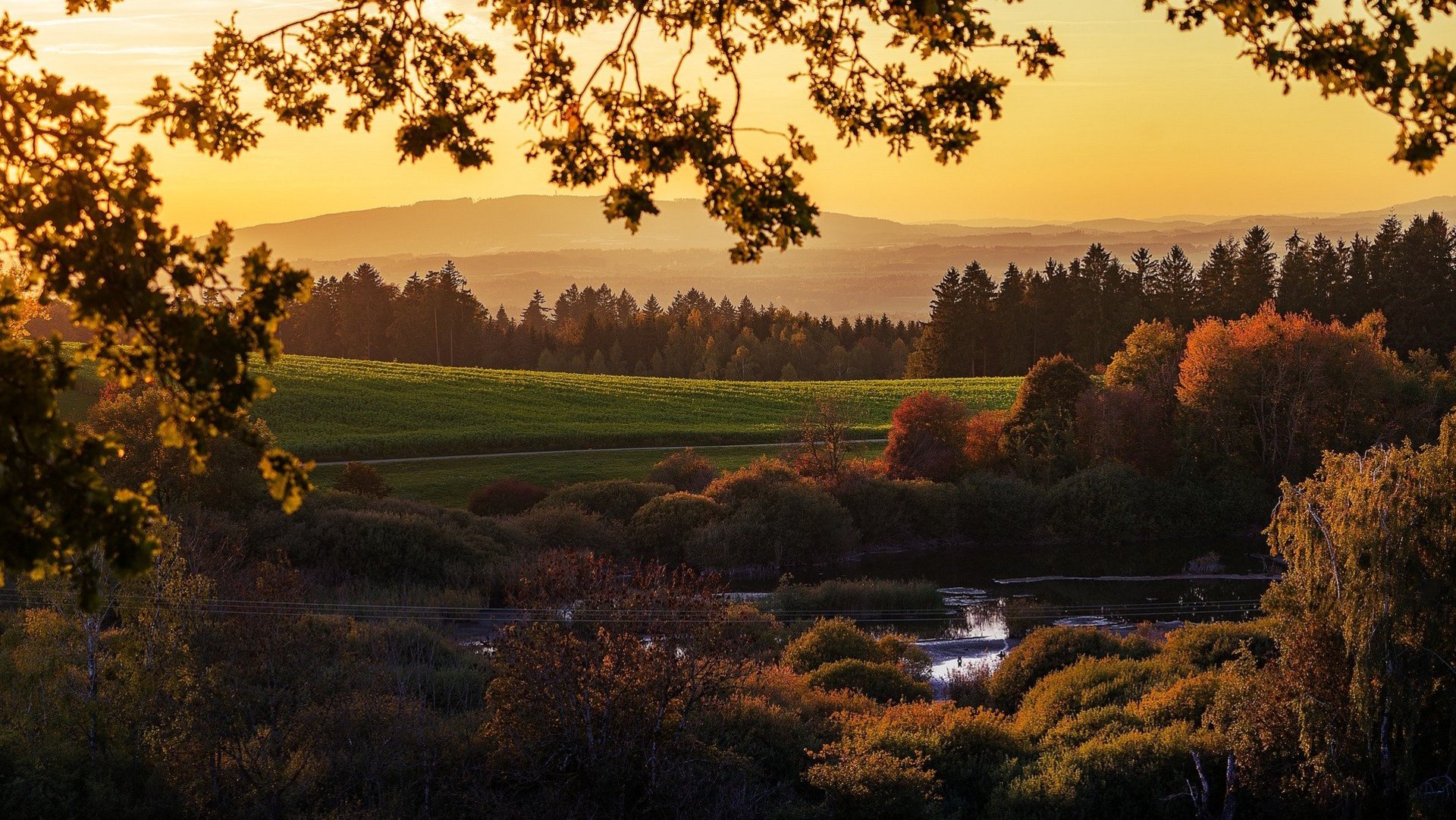 Das Bild zeigt eine Landschaft im Herbst.