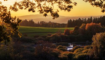 Das Bild zeigt eine Landschaft im Herbst.