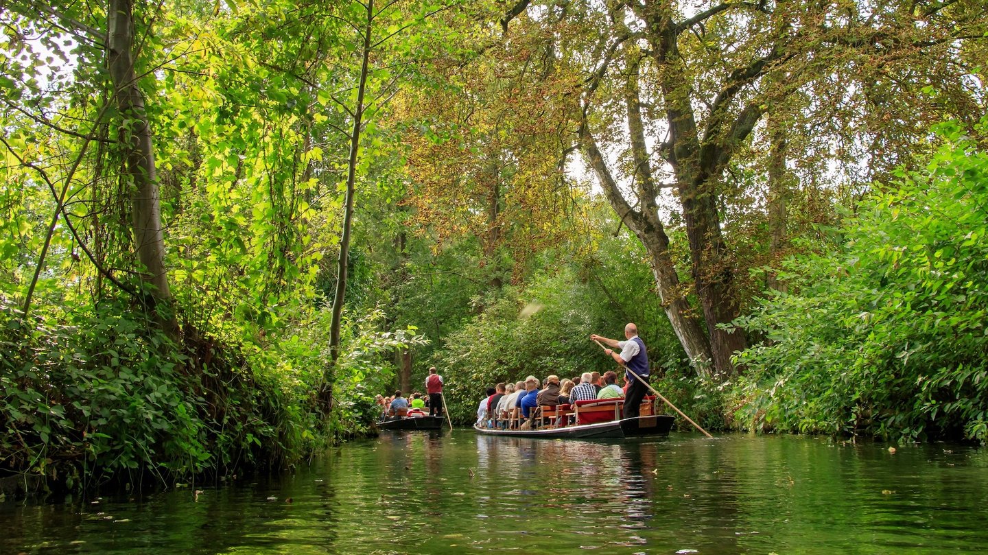 Das Foto zeigt eine Kahnfahrt im Spreewald bei Lübbenau.