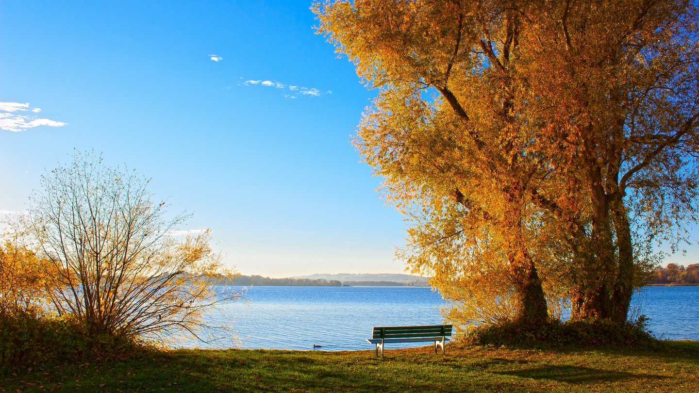 Das Foto zeigt herbstlich gefärbte Bäume vor dem Chiemsee.