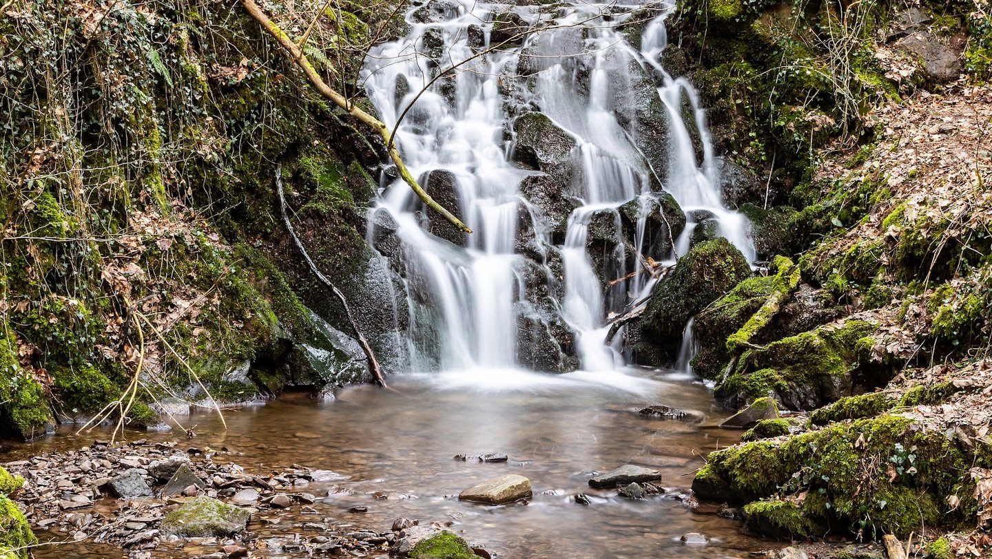 Das Bild zeigt einen Wasserfall in der Vulkaneifel.