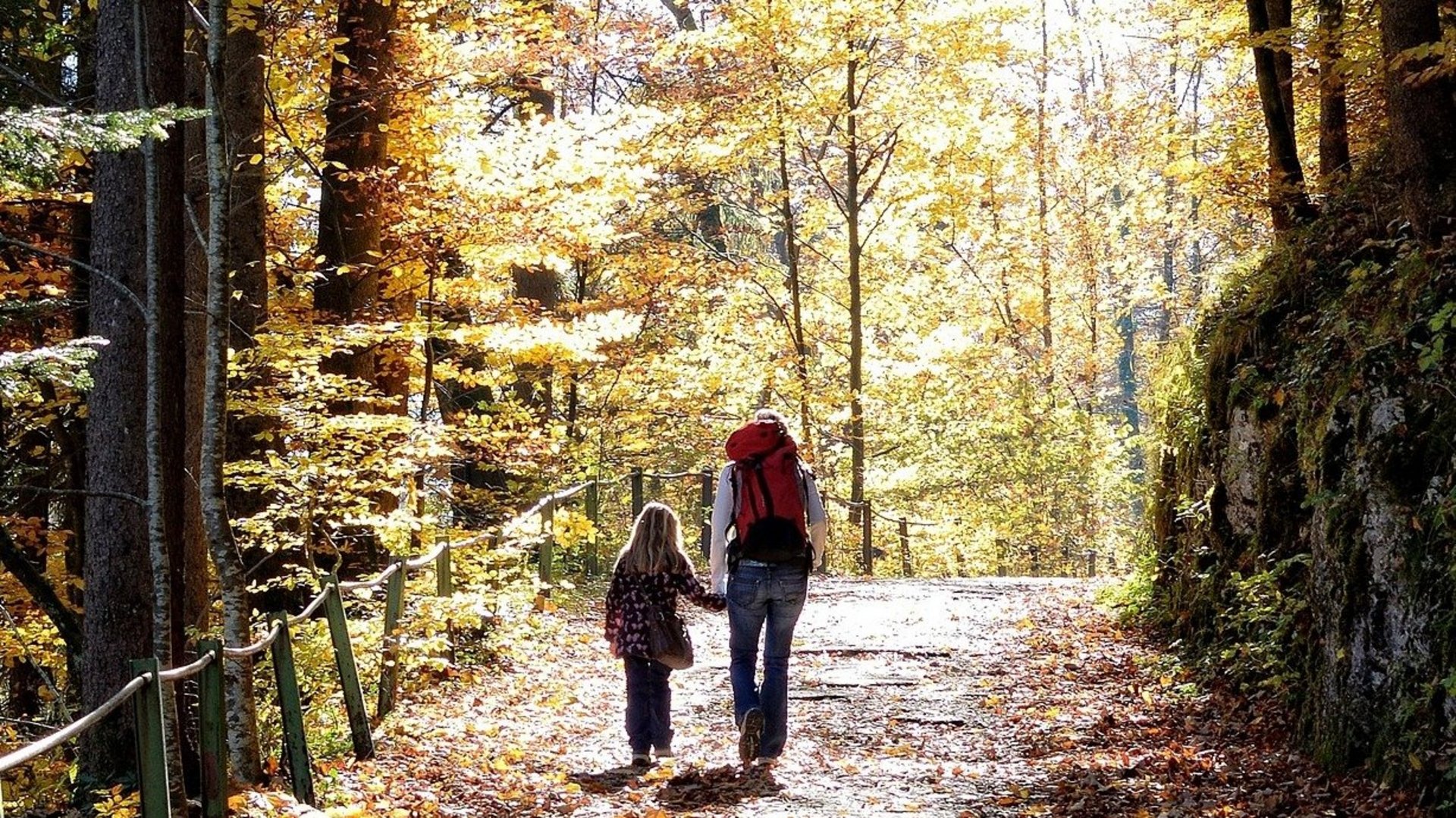 Ein Kind und ein Erwachsener laufen auf einem Waldweg im Herbst.