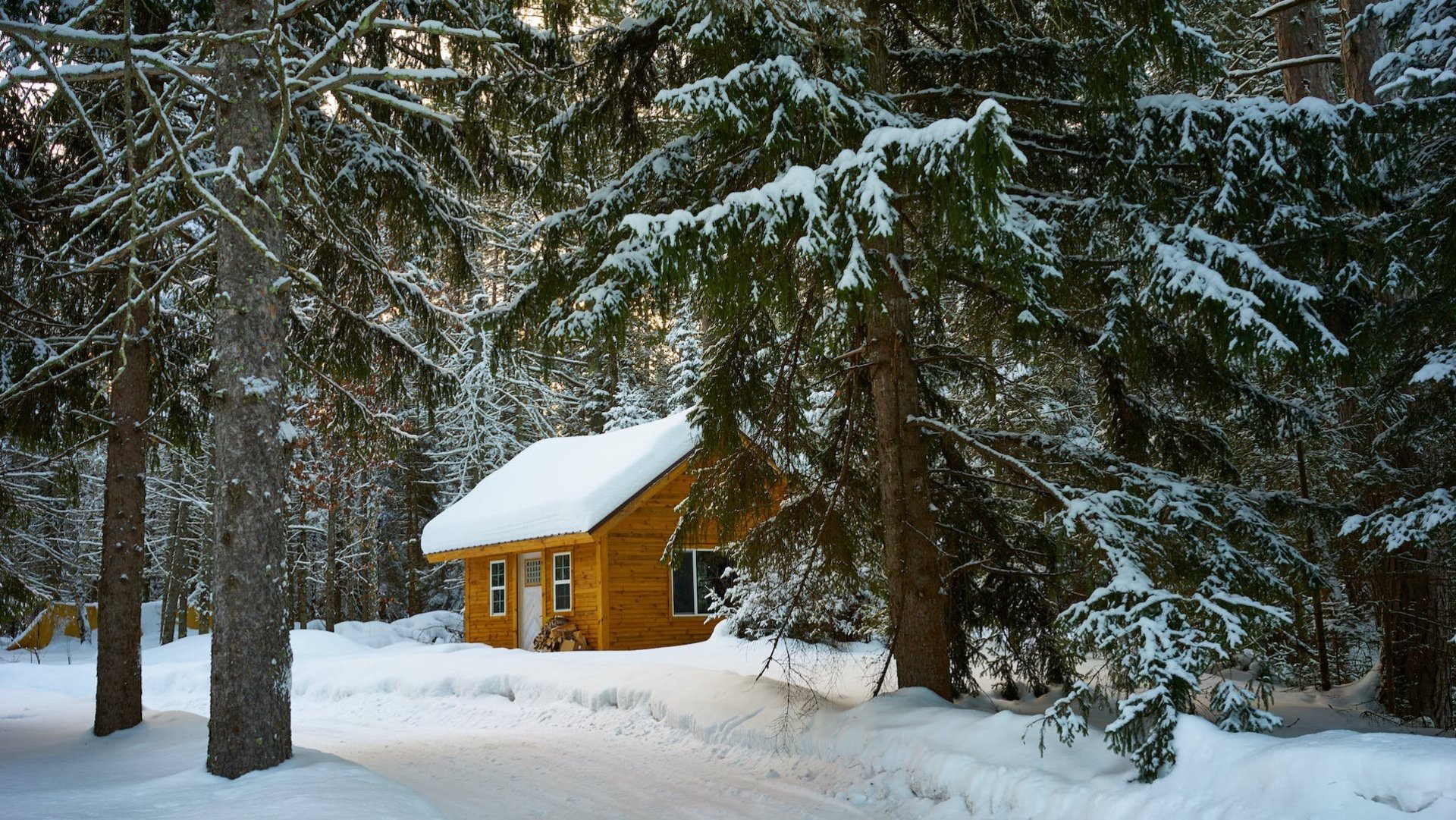 Das Foto zeigt eine schneebedeckte Hütte in einem Tannenwald.