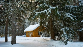 Das Foto zeigt eine schneebedeckte Hütte in einem Tannenwald.
