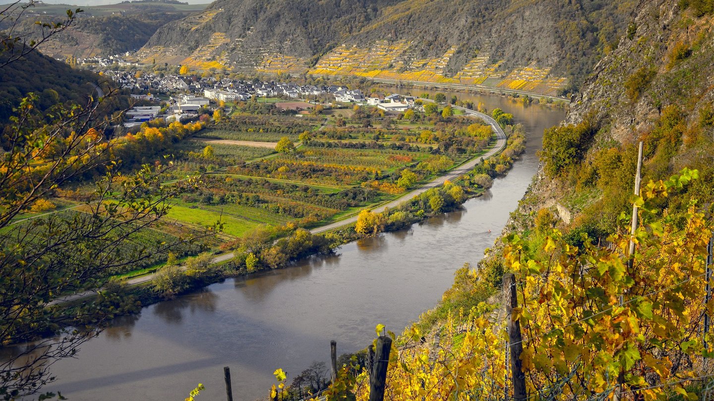 Das Bild zeigt die Mosel bei herbstlichem Wetter.