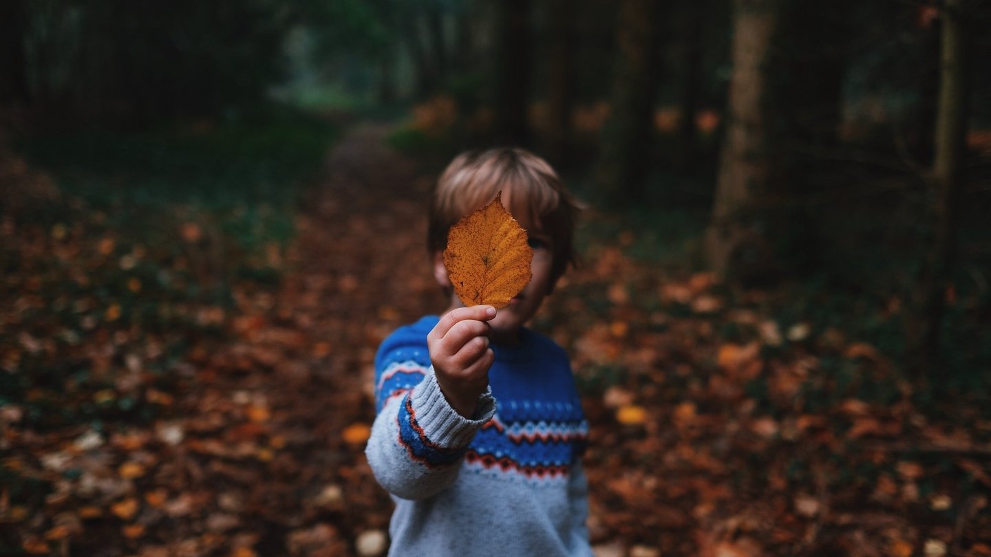 Ein Kind steht im Wald und hält ein oranges Blatt in die Kamera.
