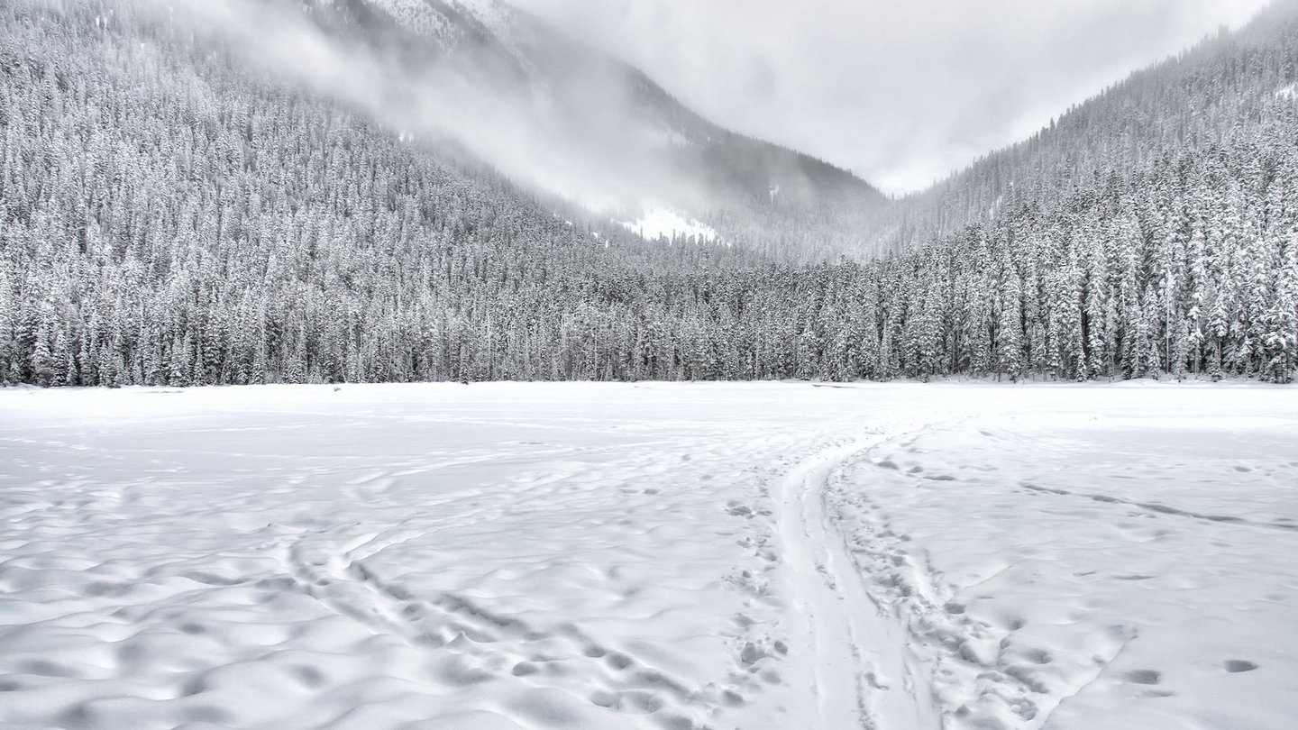 Das Foto zeigt eine schneebedeckte Landschaft.