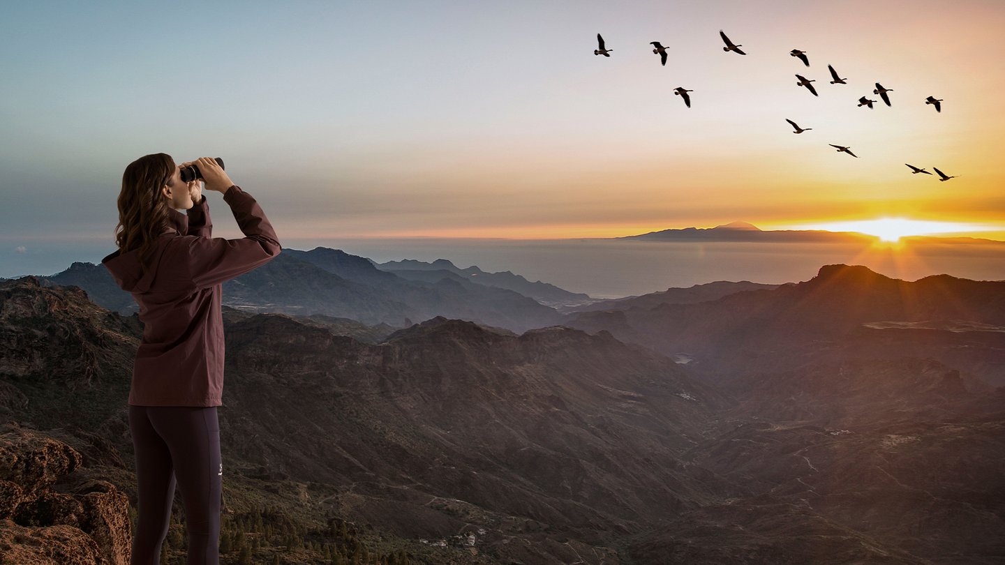 Das Bild zeigt eine Frau die auf einem Berggipfel Vögel mit einem Fernglas beobachtet.