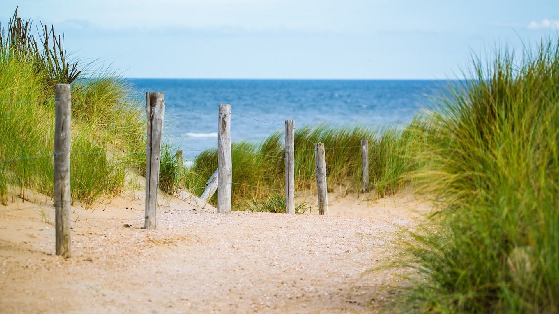 Das Bild zeigt eine Düne am Meer.