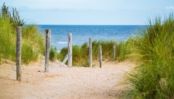 Das Bild zeigt eine Düne am Meer.