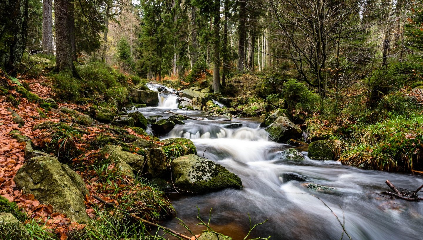 Das Bild zeigt einen Wasserfall im Herbst im Harz.