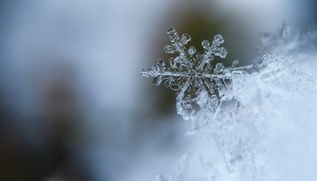 Das Foto zeigt eine Nahaufnahme einer Schneeflocke.