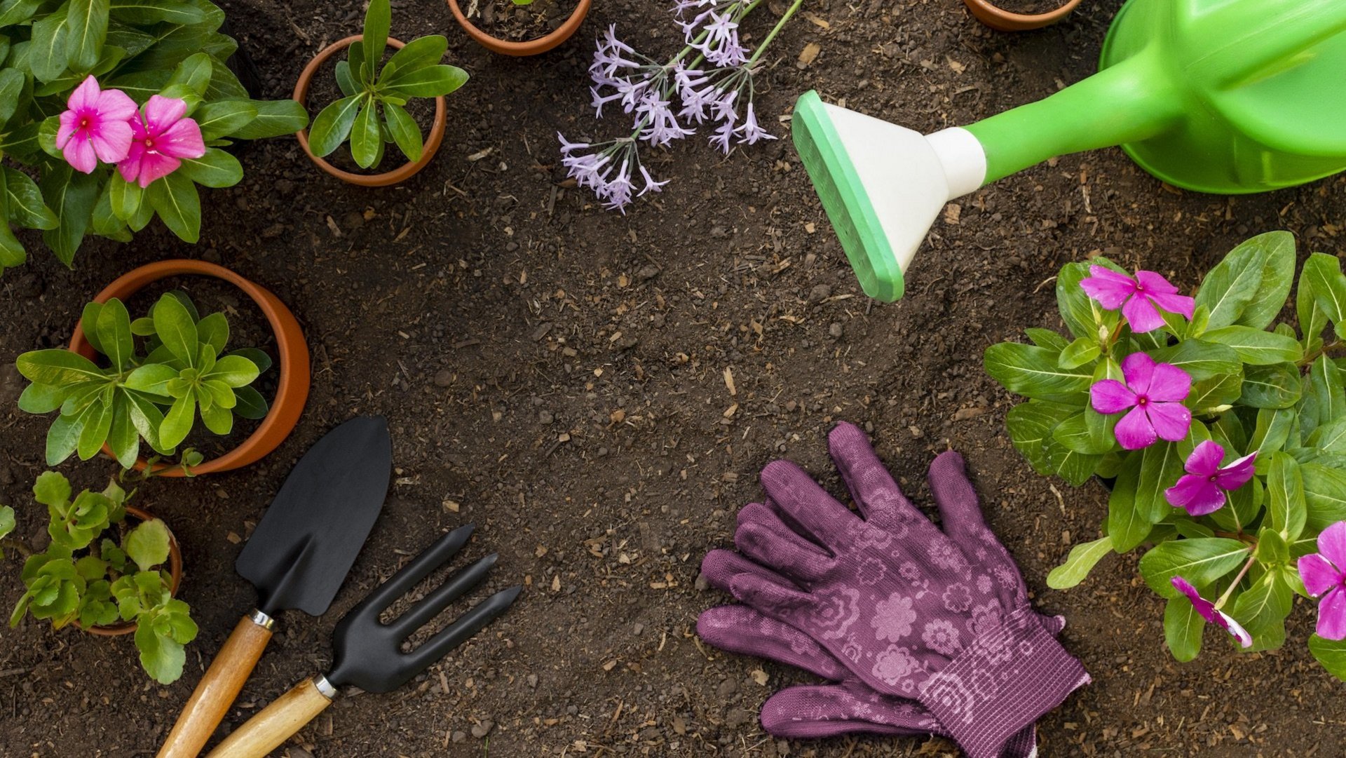 Das Foto Zeigt, kleine Pflanzen eine grüne Gießkanne, lila Gartenhandschuhe und Gartenequipment auf einen Boden. 